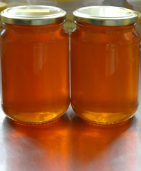 photograph of two jars of honey
