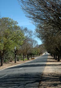 image of a country road