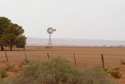 Image of a windmill in the bush