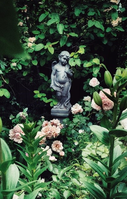 image of a detail of the author's garden